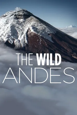 The wild andes